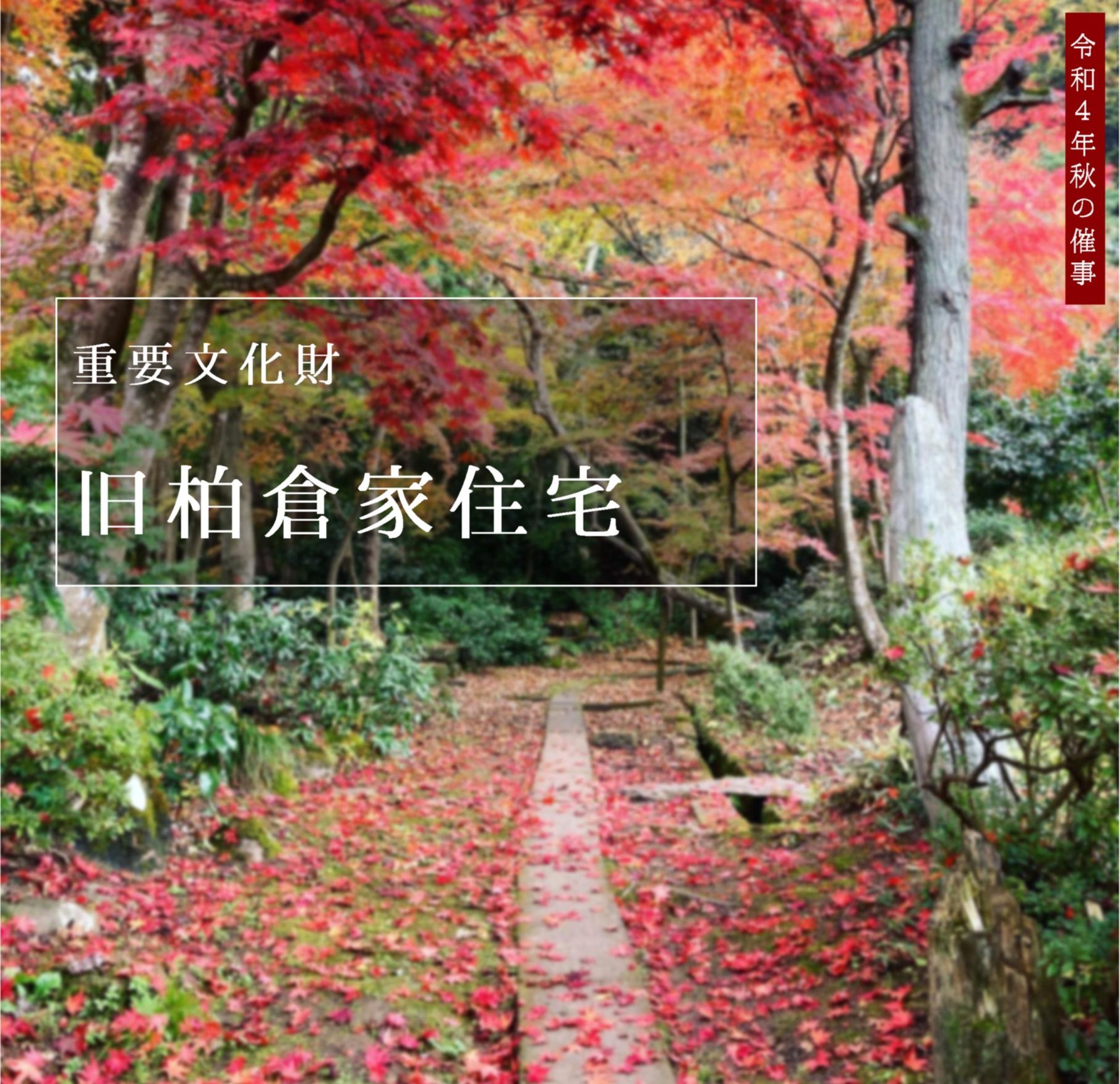 紅葉の秋 -催事情報-